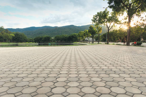 Best Decorative Driveway Pavers  in Watertown, TN